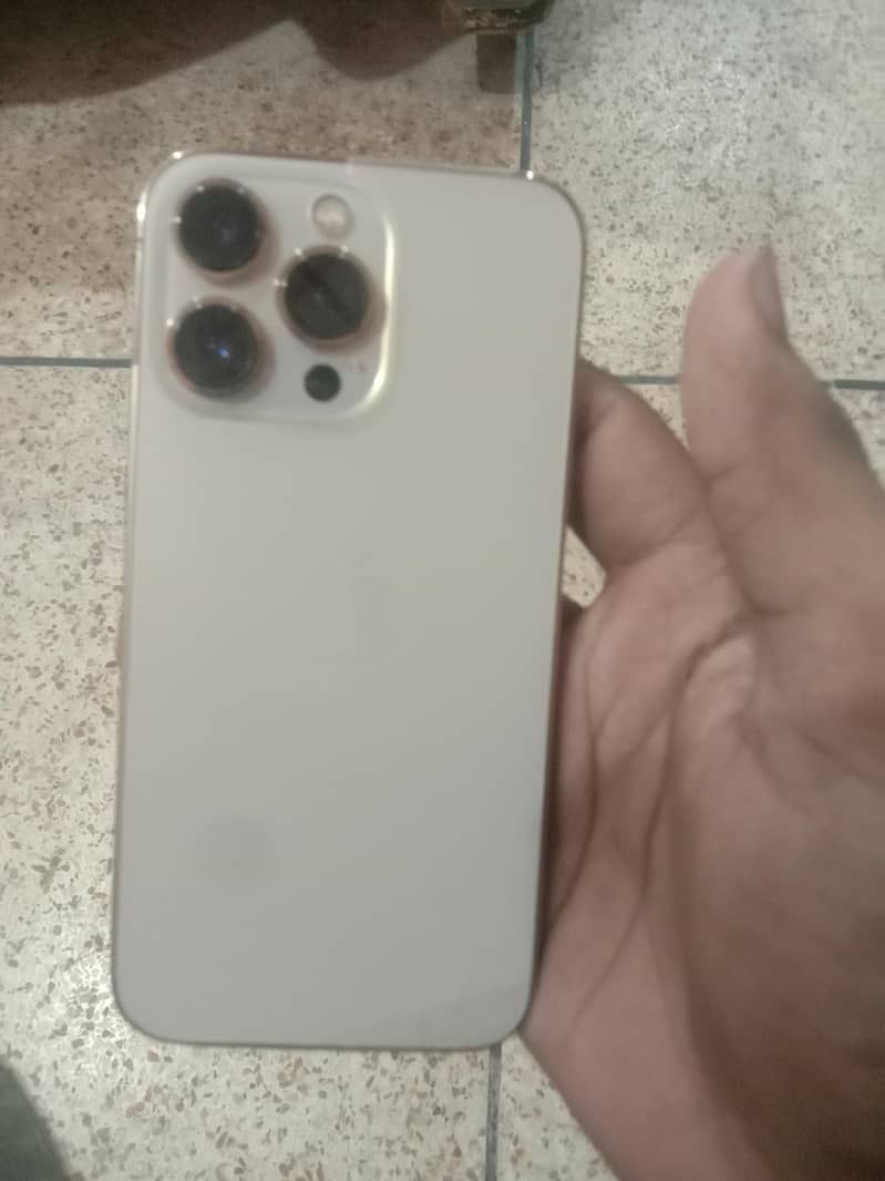 13 pro 1