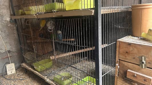 Angle iron cage 3*1.5 for sale