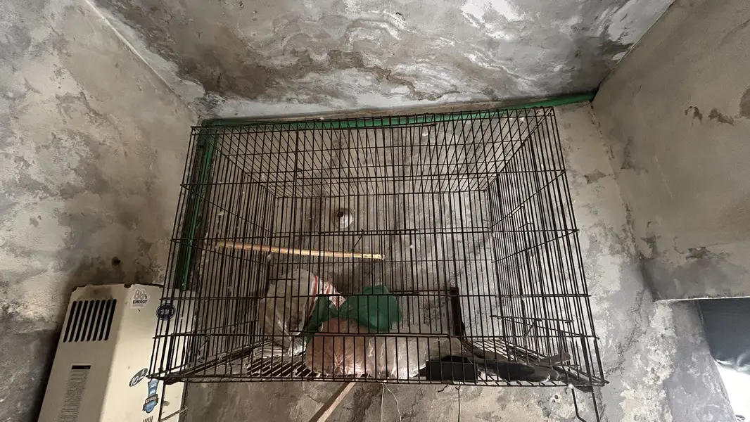 Angle iron cage 3*1.5 for sale — photo 2