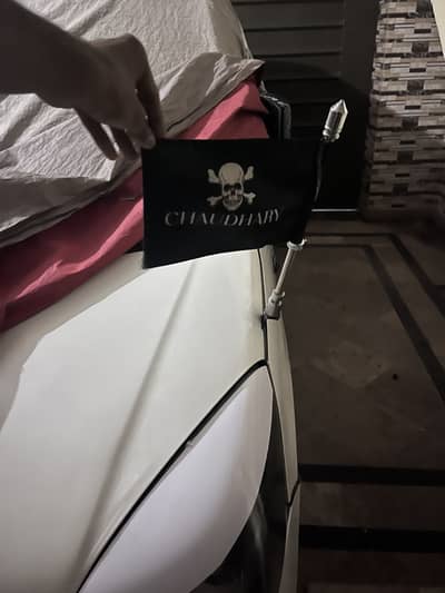 Car flag with rod