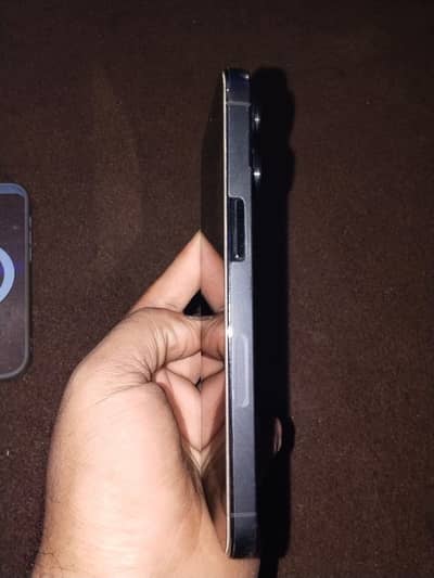 iPhone 13 Pro PTA Approved 256GB Black Waterpack 10/10