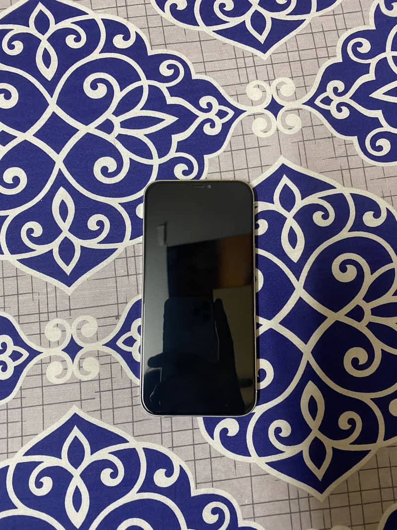 Apple iPhone 12 Pro Max 2