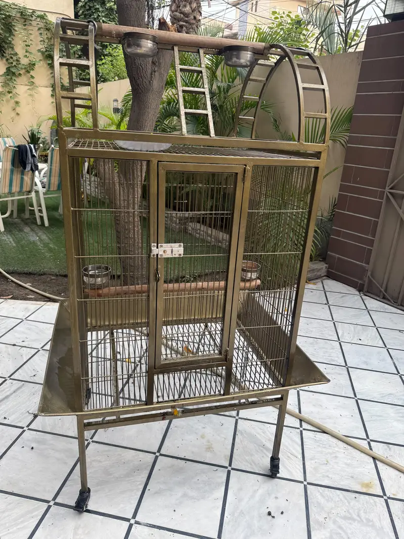 Cage . . . — photo 2