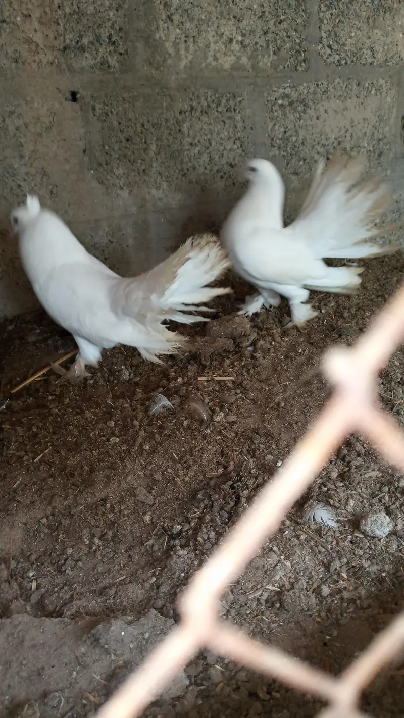 healthy and active male — photo 3