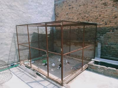 Cages