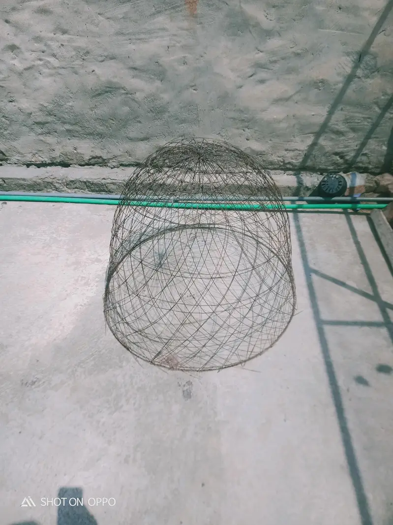Cages — photo 2