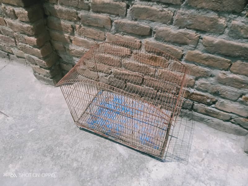 Cages 3