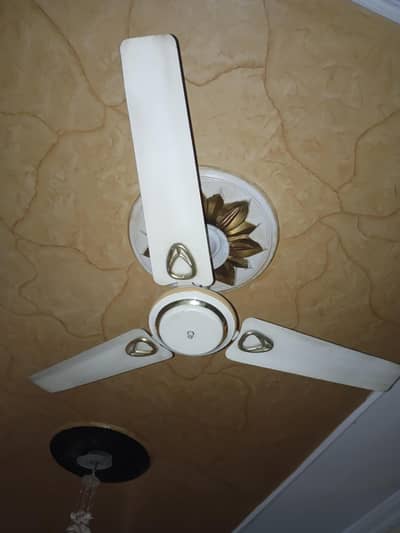 AC celling fan for sale just like New working 100%