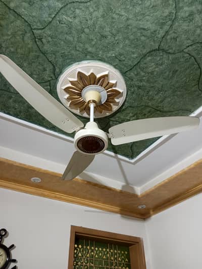 5 AC celling fan for sale just like New working 100%