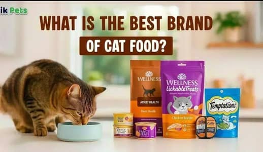 All cat food and cat accessories available here