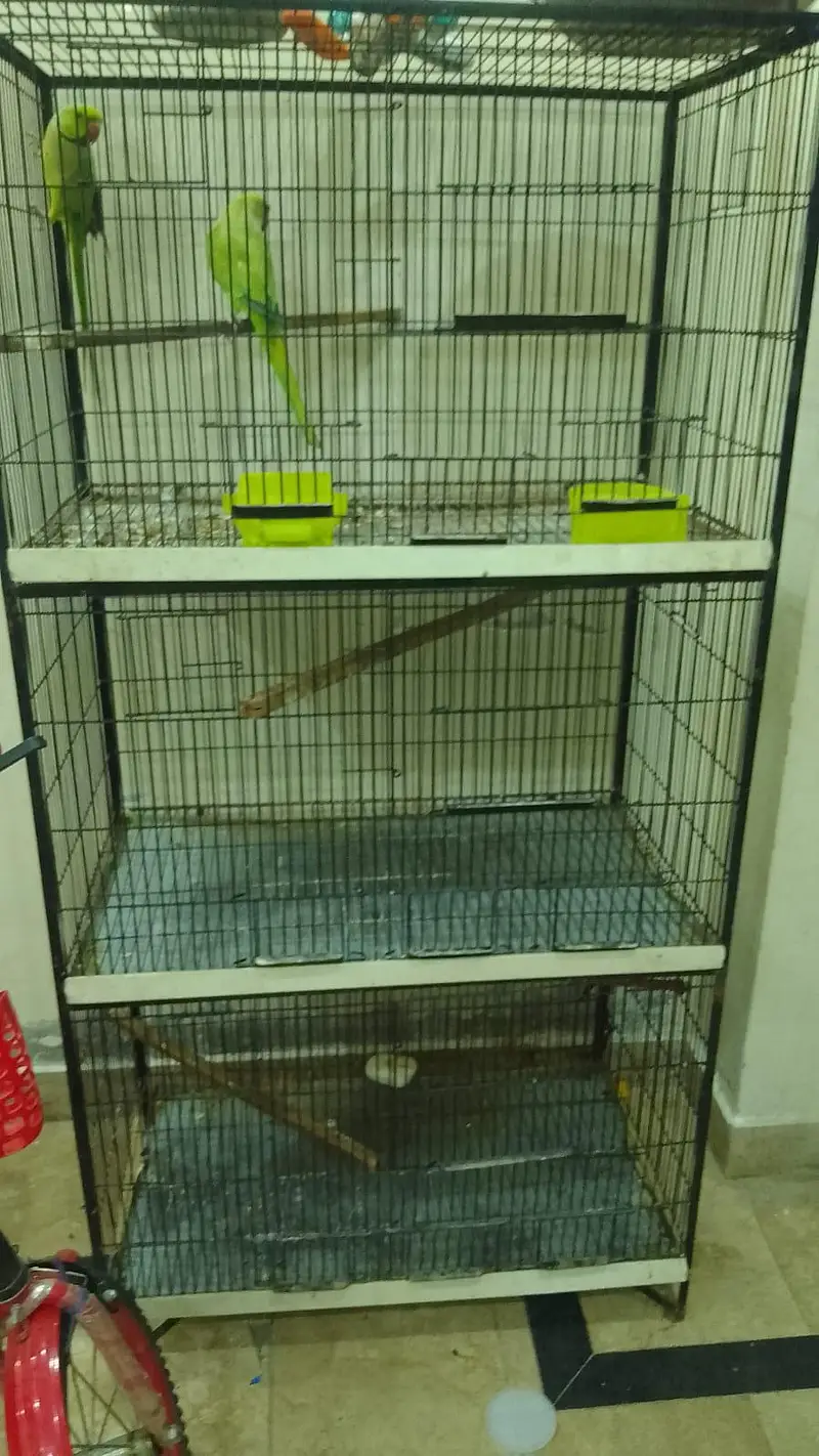 Iron Cage — photo 2