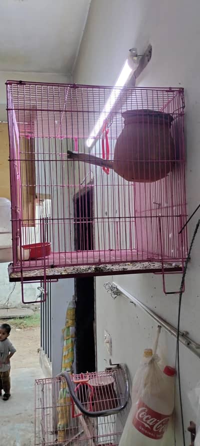 cage parrot cage like new