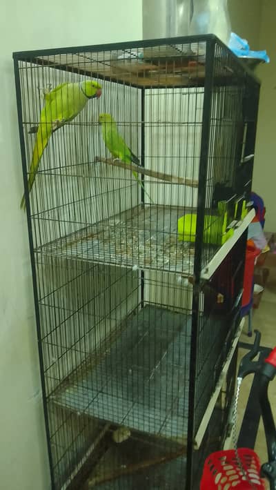 heavy iron cage
