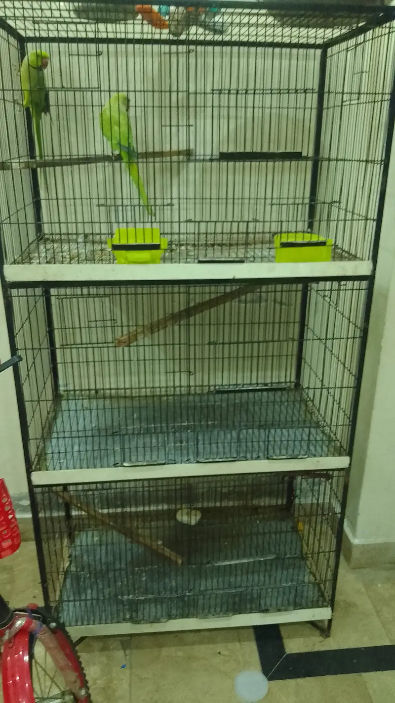 heavy iron cage — photo 2