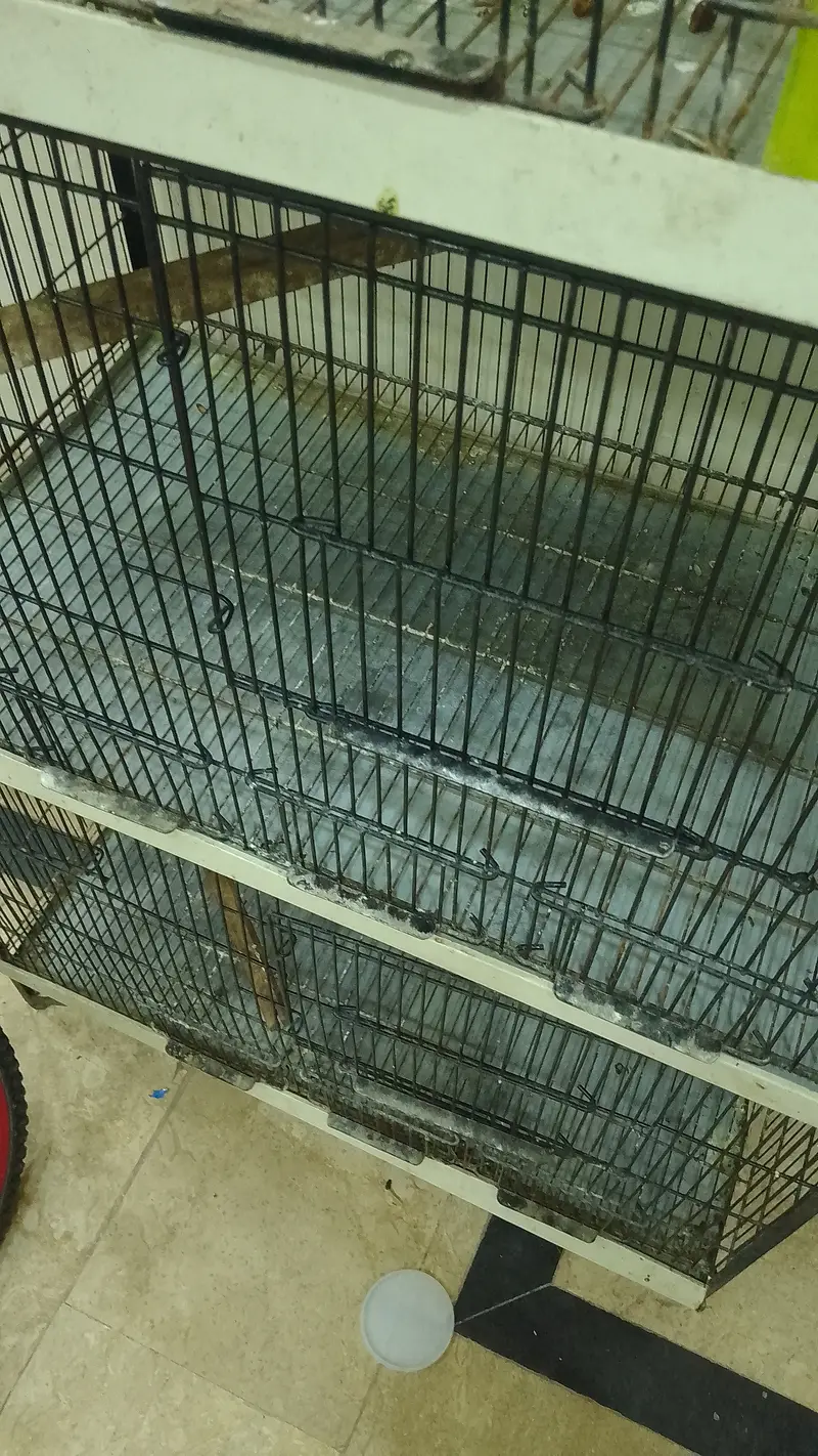 heavy iron cage — photo 3