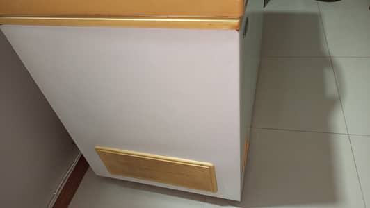 Waves freezer for sale