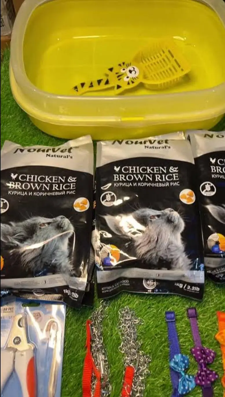 All cat food and cat accessories available here — photo 3