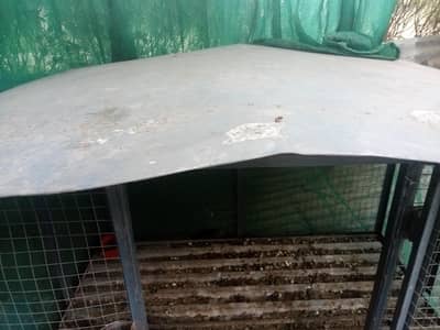 cage for hen