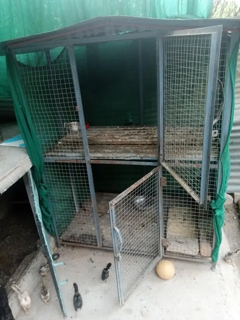 cage for hen — photo 4