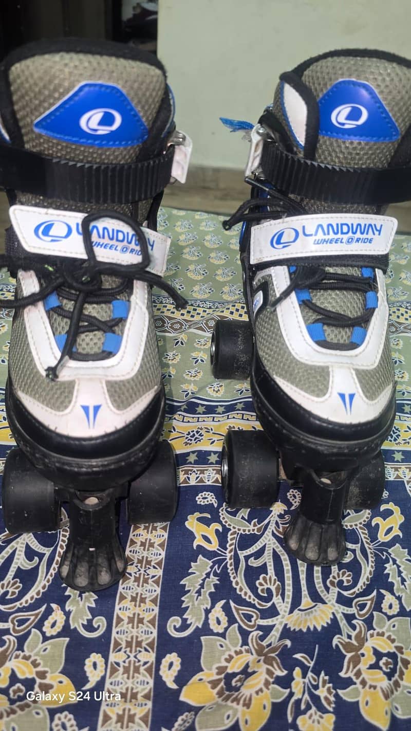 skates 1