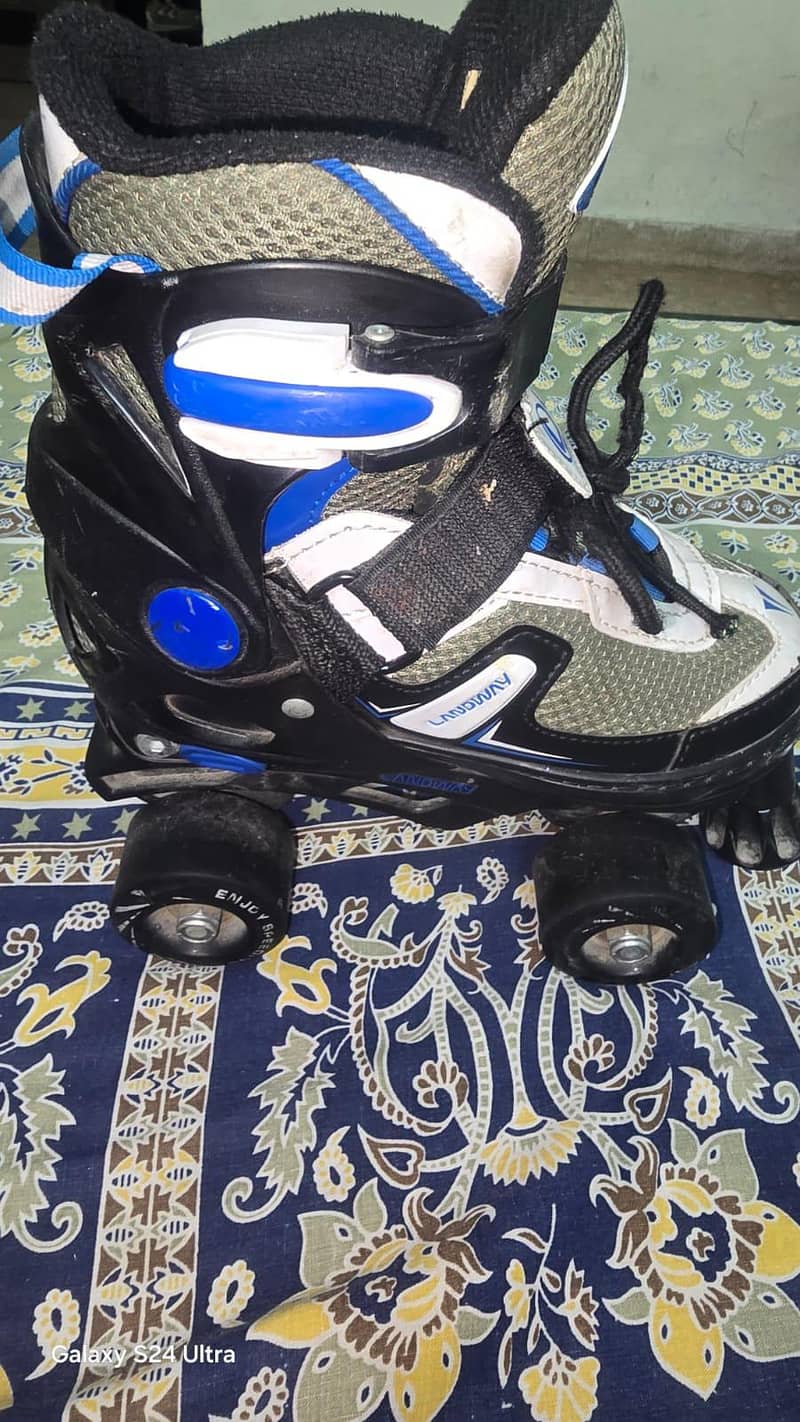 skates 2