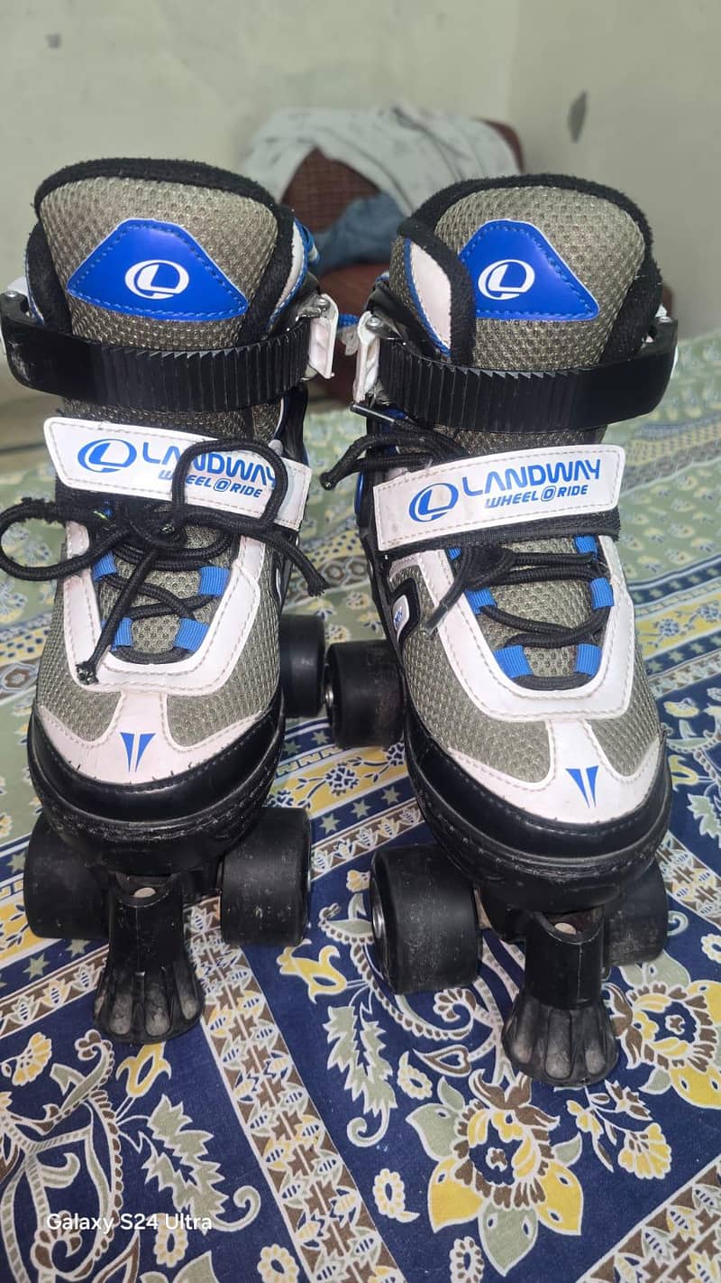 skates 3