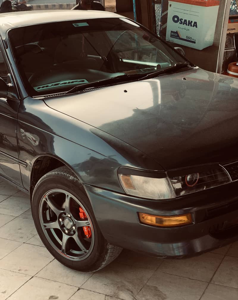 Rays TE-037 4
