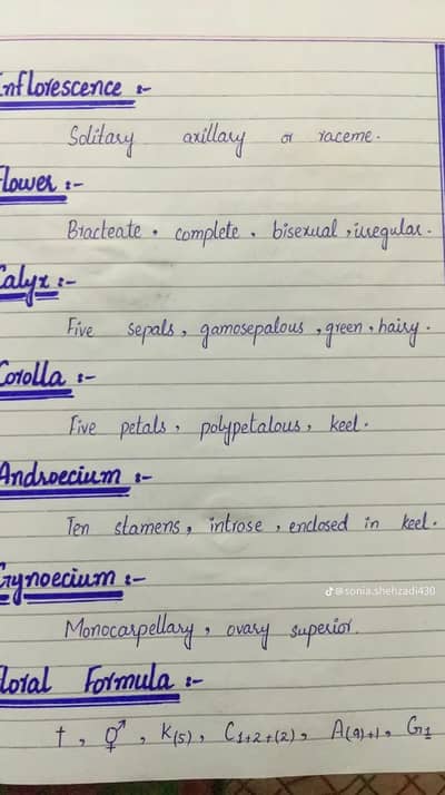 Neat and clean handwrting assignment work