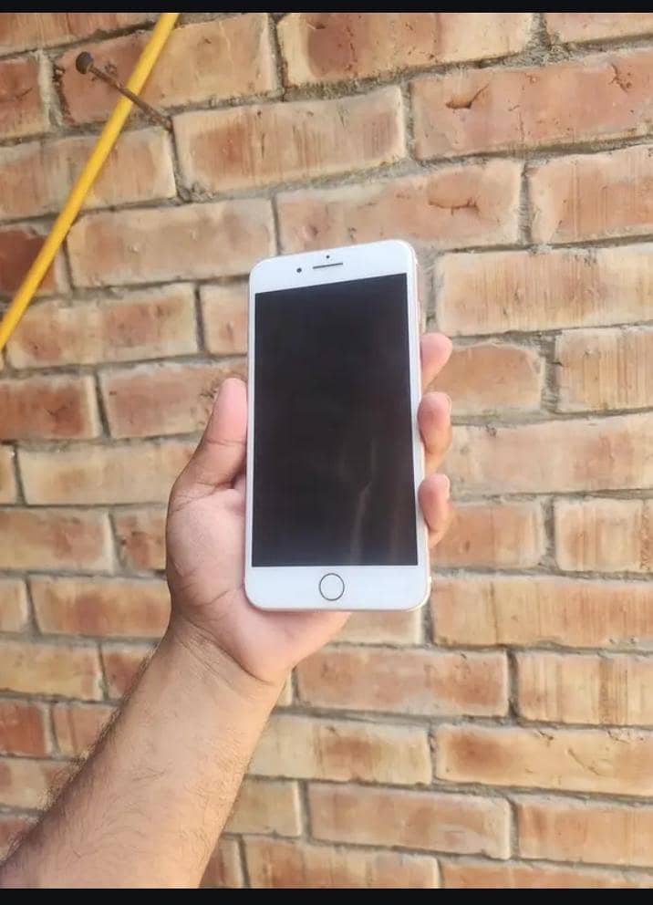 Apple iPhone 7 Plus 1