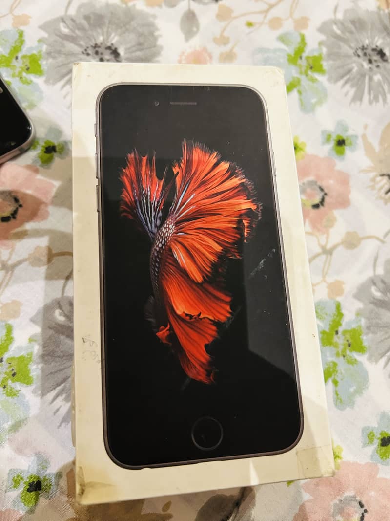 Apple iPhone 6S 5
