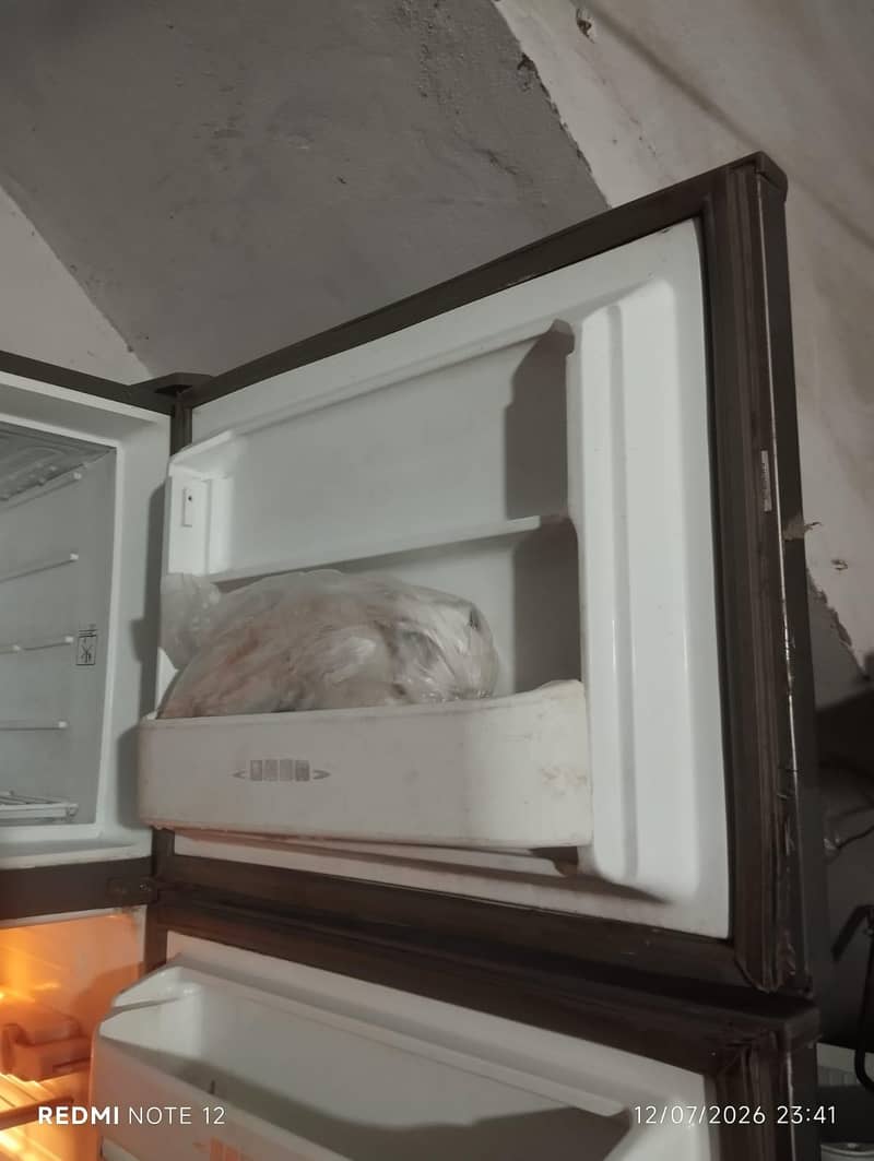 downlec Fridge 3