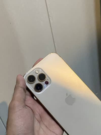 Iphone 12 pro max ( PTA APPROVED )