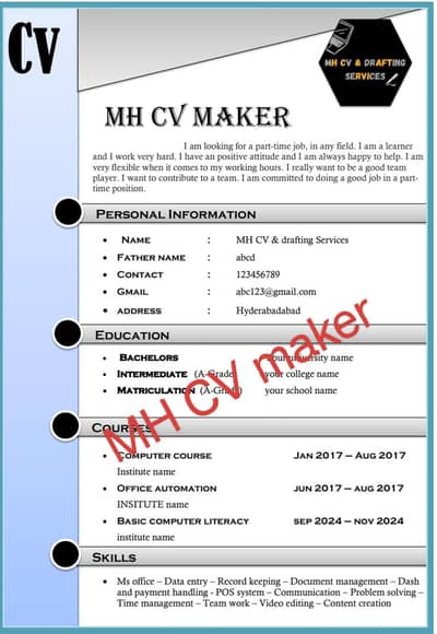 Professional CV maker Rs 200 only