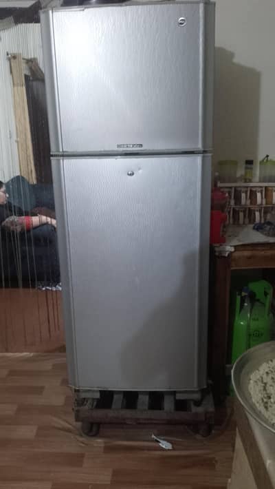 frij large