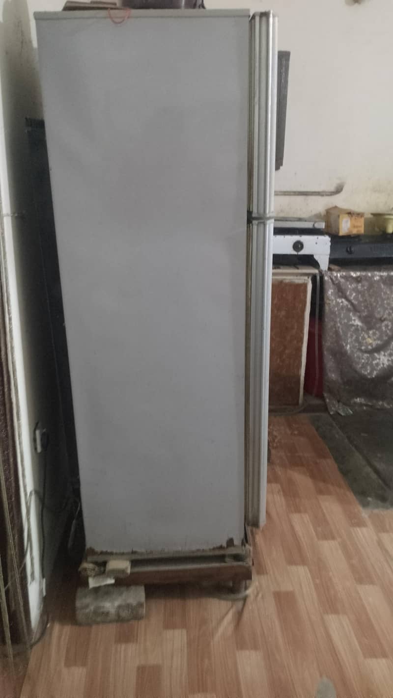 frij large 1
