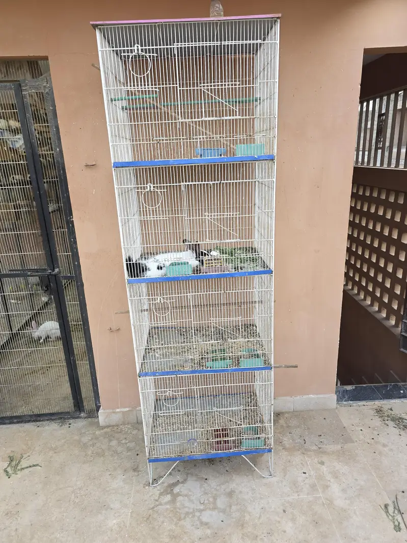 cage 4 sell — photo 2
