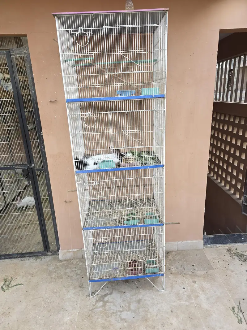 cage 4 sell — photo 3