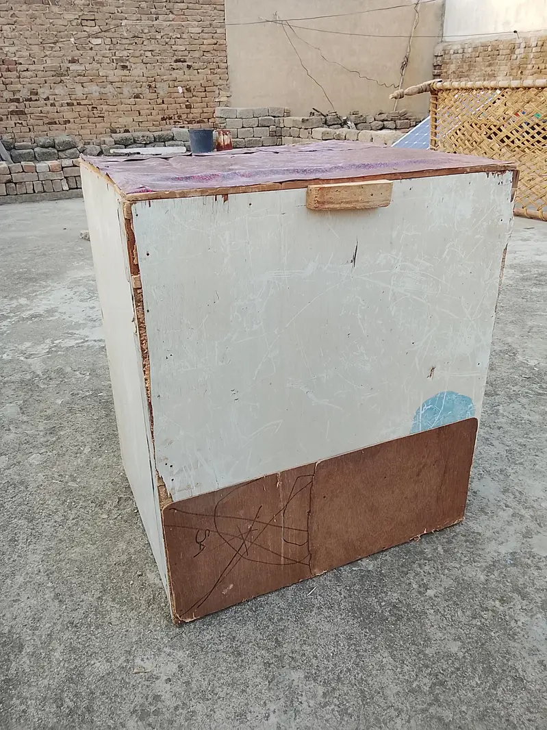 Three Cages Forsale — photo 4