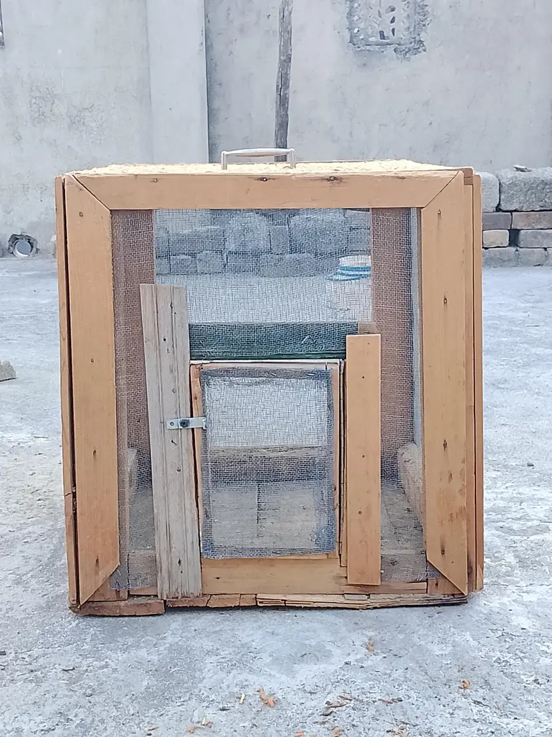 Three Cages Forsale — photo 6