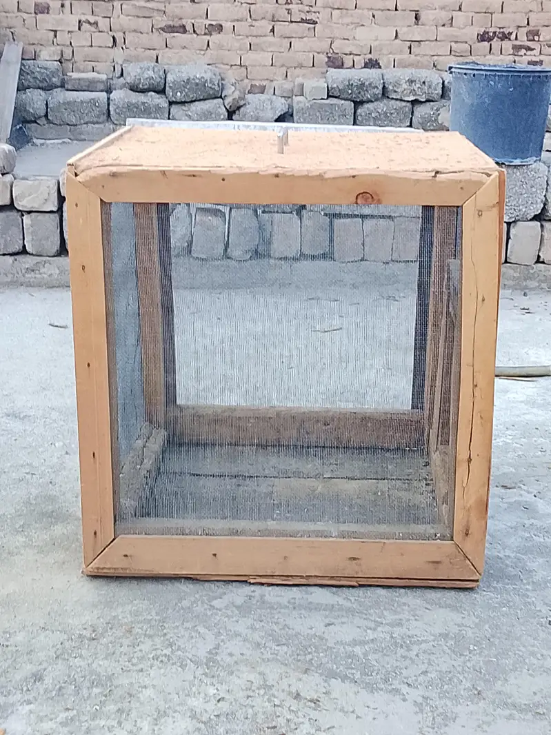Three Cages Forsale — photo 7