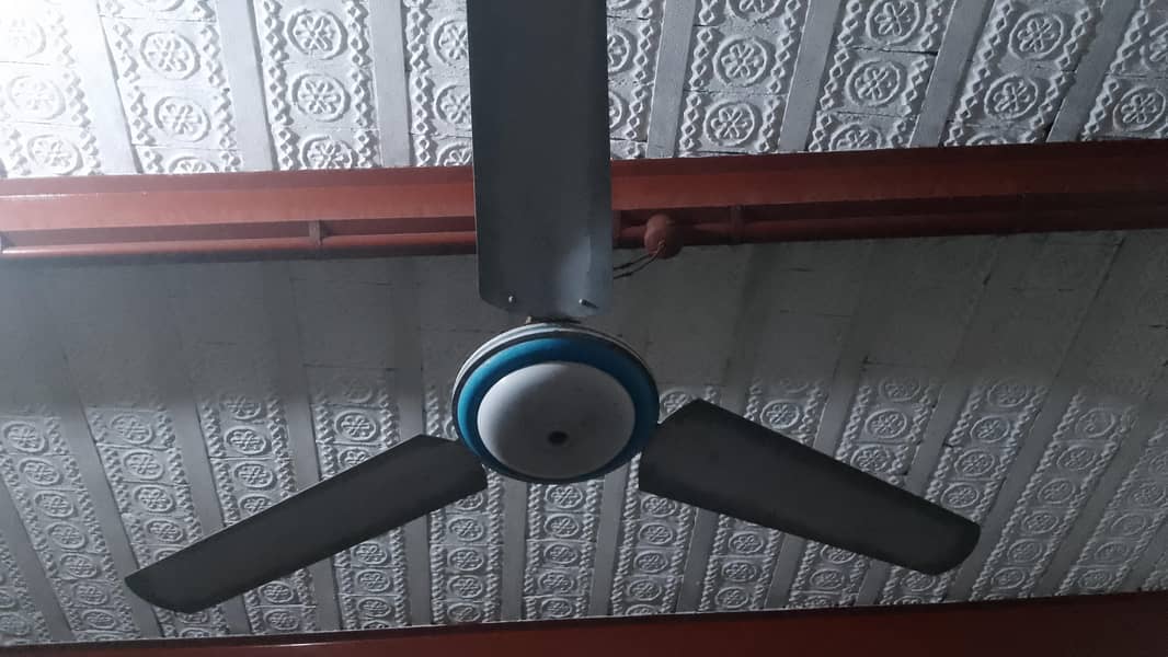 old fan 1