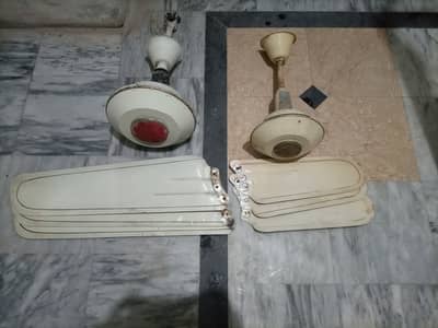 Ceiling fan national company( 1 fan 56"  )(2 fan 36")