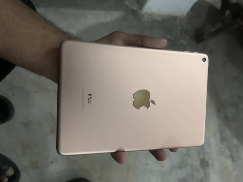 iPad Mini 5 0
