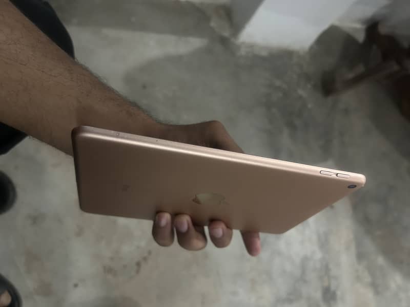 iPad Mini 5 1