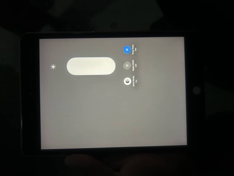 iPad Mini 5 7