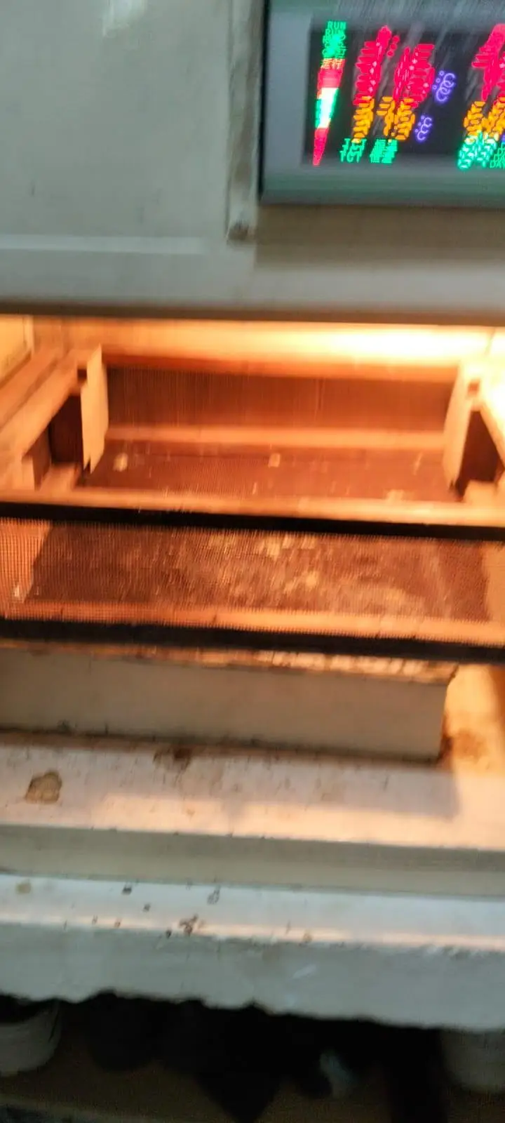 Fully Automatic Incubator Having a separate Setter and a Hatcher — photo 4