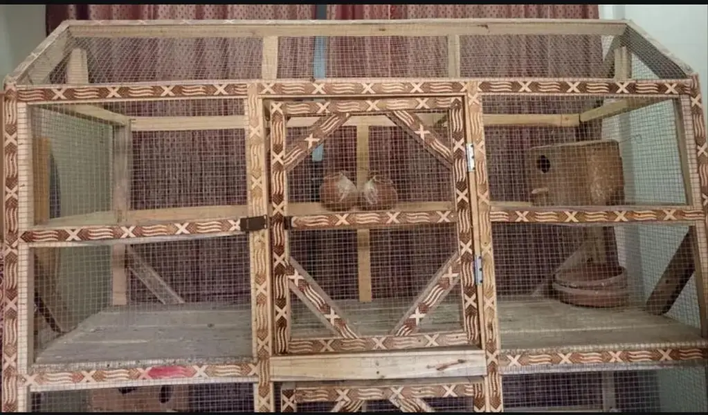 Tier Wooden Breeding Cage – Perfect for Birds & Small Pets — photo 3