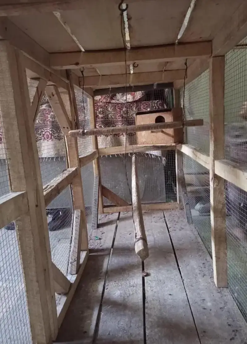 Tier Wooden Breeding Cage – Perfect for Birds & Small Pets — photo 5