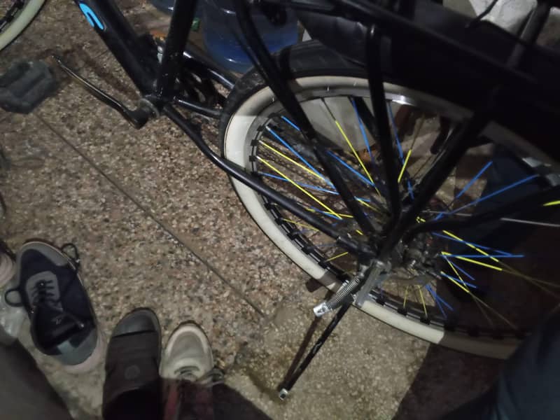 bicycle 17