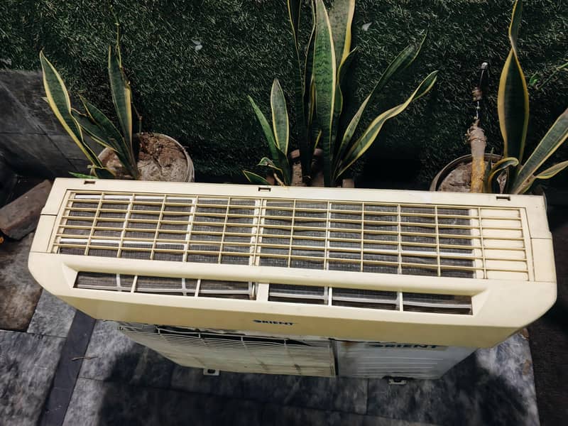 orient ac 8